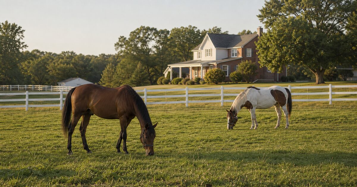 Horseback Riding Lessons in Monmouth County, NJ